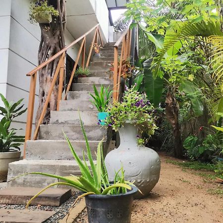Nilupul Villa Ambalangoda  Dış mekan fotoğraf