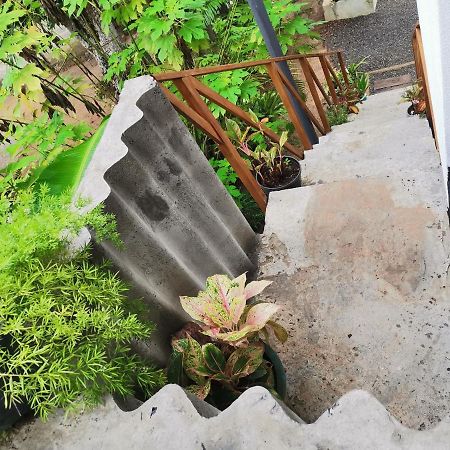 Nilupul Villa Ambalangoda  Dış mekan fotoğraf