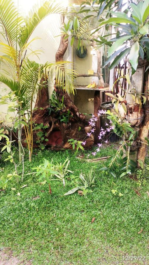 Nilupul Villa Ambalangoda  Dış mekan fotoğraf